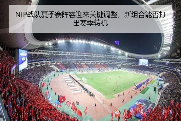 NIP战队夏季赛阵容迎来关键调整，新组合能否打出赛季转机